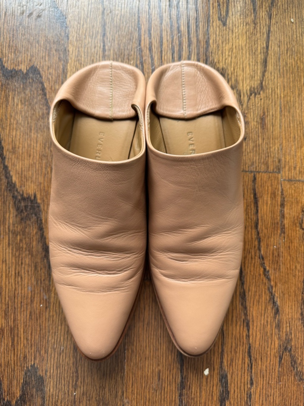 Everlane the modern babo convertible mule flat size 8.5